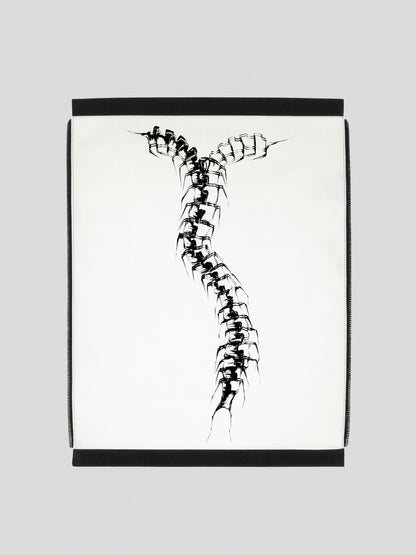 Morphos Anatomy Zip Print