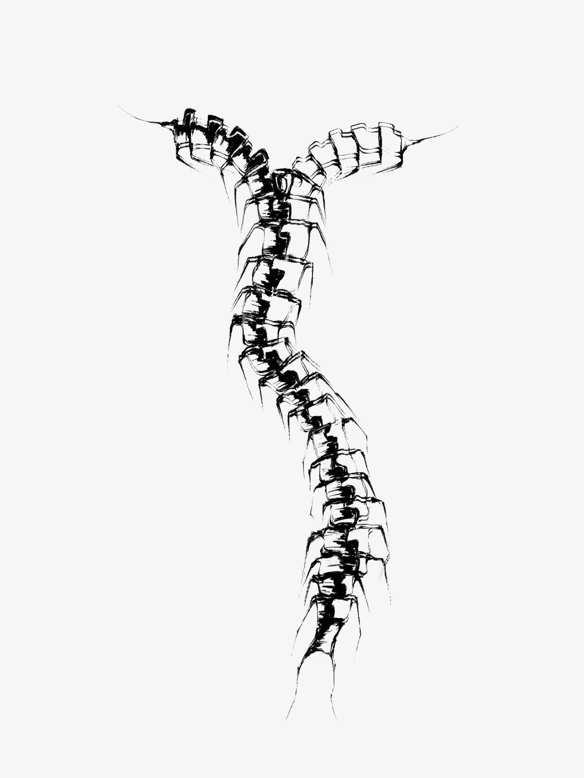 Swap Pocket Anatomy Zip